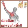 ทำไมยกแขนเหนือศีรษะไม่ได้ จะปวดเจ็บ ?