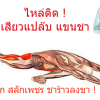 นั่งแล้วจี๊ด ตาพล่า ปวดท้ายทอย! ตุลาคม 05, 2562