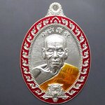 เหรียญไข่พยัคฆ์มหาเฮง มหาบารมี 99 เนื้อเงินลงยาขอบแดง หลวงพ่อพัฒน์ วัดห้วยด้วน โคท 137 (SKU-03427)