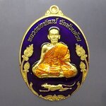 เหรียญพยัคฆ์พันล้าน เนื้อทองทิพย์ ลงยาม่วง ลงยาจีวร หลวงพ่อพัฒน์ วัดห้วยด้วน โคท289