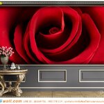 ภาพศิลปะ ผ้าCanvas ติดผนัง ตกแต่งฉากหลังผนังบ้าน กรุผนังสีเทากับลายดอกกุหลาบแดง ดูเรียบหรู