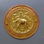 เหรียญประจำจังหวัด เชียงราย ขนาด 2.5 เซ็น เนื้อทองแดง