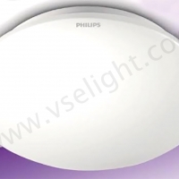 โคมซาลาเปา LED Philips 16W Moire 33362 - แสง Daylight