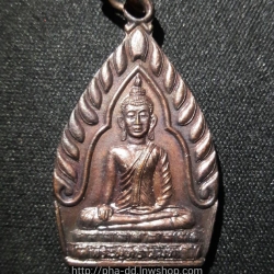 เหรียญพระพุทธนิมิต 100ปี วัดวังตูม อ.เมือง จ.นครนายก ปี 2548