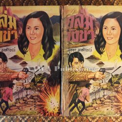 ถล่มวังข่า (2 เล่มจบ)