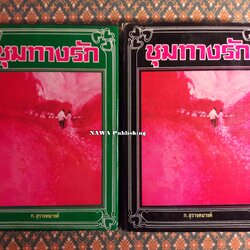 ชุมทางรัก (2 เล่มจบ)