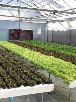 รางรวมน้ำ * เฉพาะราง * ขนาด 4x6 นิ้ว ความยาว 6 เมตร