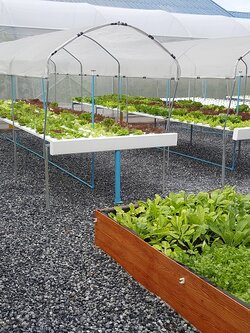 ฟาร์ม ไฮโดรฮ็อบบี้ พระราม2