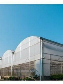 พลาสติกคลุมโรงเรือน (Cooling diffused Film) ความหนา150 ไมคอน สูตรกระจายแสง+ลดความร้อน