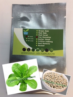 เมล็ดพันธุ์ คอส โรมานส์(Cos)