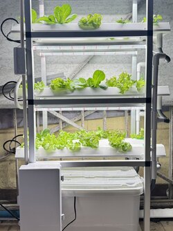 ชุดปลูกผักไฮโดรโปนิกส์ ขนาด 75 เซน 6 รางปลูก พร้อมไฟ LED ปลูกได้ 30 ต้น