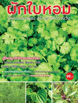 ผักใบหอม