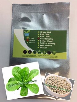 เมล็ดพันธุ์ คอส โรมานส์(Cos) 100 เมล็ด