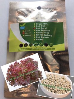 เมล็ดพันธุ์ เรด คอรัล (Red Coral) 100 เมล็ด