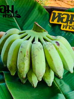 กล้วยน้ำว้า จ.เพชรบุรี รสหวานหอม เนื้อนุ่มเนียน อร่อย ตัดสดจากสวน โดยหอมฟาร์ม