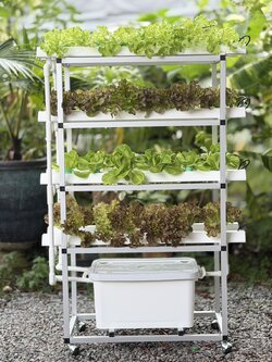 ชุดปลูกไฮโดรโปรนิกส์ แบบล้อเลื่อนแนวตั้ง ขนาด 1 เมตร จำนวน 8 รางปลูก