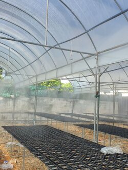 พลาสติกคลุมโรงเรือน (Cooling diffused Film) ความหนา200 ไมคอน สูตรกระจายแสง+ลดความร้อน