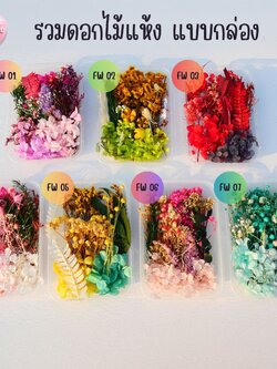 รวมดอกไม้แห้ง แบบกล่อง คละขนาด FW 01-09 , ดอกไม้แห้งจริง