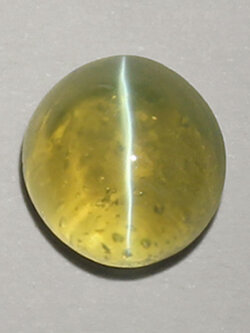 **ขายแล้ว**คริสโซเบริลตาแมวหรือไพฑูรย์ (Cat's eye Chrysoberyl) 1.78 กะรัต เนื้อใส ตาคม จากศรีลังกา