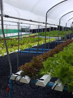 เดอะ นาคา ภูเก็ต