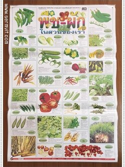 โปสเตอร์ พืชผักในสวนของเรา