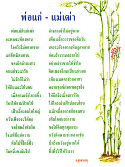 พ่อแก่ - แม่เฒ่า (แผ่นเคลือบ จำนวน 5 แผ่น/ชุด)