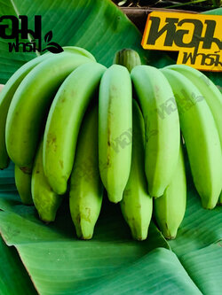 กล้วยหอมทอง จ.เพชรบุรี รสหวานหอม เนื้อนุ่มเนียน อร่อย ตัดสดจากสวน โดยหอมฟาร์ม