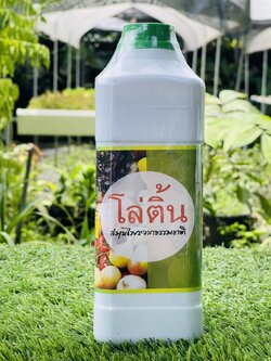 สมุนไพรไล่แมลง โล่ติ้น