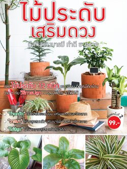 ไม้ประดับเสริมดวง