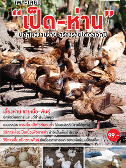 เพาะเลี้ยง เป็ด-ห่าน