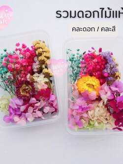รวมดอกไม้แห้ง แบบกล่อง คละดอก คละสี สุ่ม