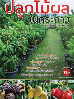 ปลูกไม้ผลในกระถาง