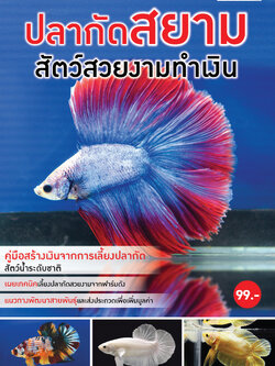 ปลากัดสยาม สัตว์สวยงามทำเงิน