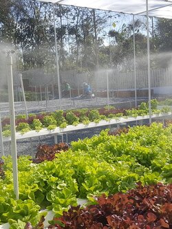 น่านตะวันฟาร์ม