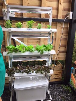 ชุดปลูกผักไฮโดรโปนิกส์ LED แบบล้อเลื่อนแนวตั้ง ขนาด 0.75 เซนติเมตร จำนวน 3 รางปลูก พร้อมไฟ 3 ดวง