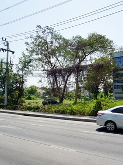 ⭐⭐⭐⭐⭐(เช่า) สำนักงาน3ชั้น + ดาดฟ้าหลังคา ถนนเลี่ยงเมืองนนท์ ใกล้รถไฟฟ้า ใกล้สามแยก อตก. 3