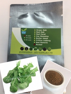 เมล็ดพันธุ์ ร็อกเก็ต