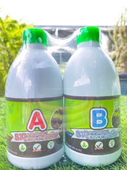 ปุ๋ยไฮโดรโปนิกส์ AB500cc (ชนิดน้ำสูตรเข้มข้น) สำหรับผักไฮโดรโปนิกส์โดยเฉพาะ สินค้ามีพร้อมส่ง