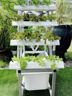 ชุดปลูกผักไฮโดรโปนิกส์แบบล้อเลื่อนขั้นบันไดขนาด 50 cm. จำนวน 4 รางปลูก(ปลูกได้ 12 ต้น)