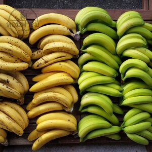 กล้วย: ผลไม้มหัศจรรย์ที่ทำให้สุขภาพของคุณดีขึ้น! 🍌✨