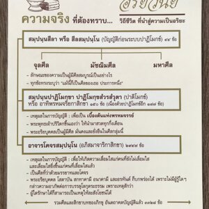 แผ่นพับ อริยวินัย