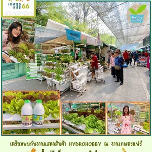 งานเกษตรแฟร์ บางเขน เริ่มตั้งแต่ 3 ก.พ.2566 ถึง 11 ก.พ.2566 ณ.มหาวิทยาลัยเกษตรบางเขน อยู่หน้าตึกบริหารธุรกิจ ทางออกงามวงค์วานประตู 2 ล็อค D128-129
