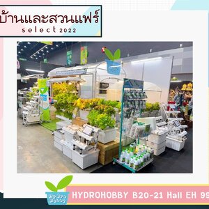 บ้านและสวนแฟร์ Select 2022 ตั้งแต่ 19 - 27 มี.ค. ไบเทค บางนา