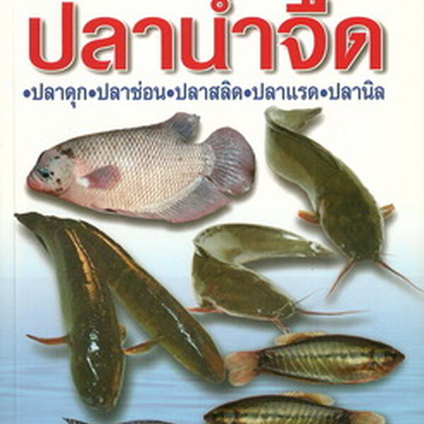 My Image 8