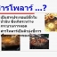 ขายชุดทดสอบโพล่าร์ในน้ำมันทอดซ้ำ (25 ครั้ง)