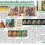 พระปิดตา หลังยันต์ดวงเล็ก หลวงปู่โต๊ะปลุกเสก เนื้อผงใบลานแก่ตังอิ๊ว สมเด็จพระญาณสังวร (เจริญ) วัดบวรนิเวศวิหาร ปี2523 พร้อมบัตรรับรองพระแท้