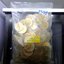 เหรียญยกถุง (100 เหรียญ) เหรียญหมุนเวียน 10 บาท 2551 พระเศียรเล็ก(พิมพ์หนา) ไม่ผ่านใช้