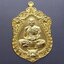 เหรียญเสมาเสือคาบดาบ รุ่น1 เนื้ออาบทองพ่นทราย หลวงพ่อพัฒน์ วัดห้วยด้วน โคท 67 (SKU-03350)