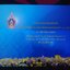 การ์ดบรรจุเหรียญที่ระลึก พระราชพิธีมหามงคลเฉลิมพระชนมพรรษา 80 พรรษา รัชกาลที่9 เนื้อเงิน ชุด 4 เหรียญ ปี2550 ธนารักษ์จัดสร้าง พร้อมแผง