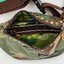 Saiant Bag (สีเขียว)
